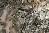 Polished Turkish Stick Agate Slab - Turkey #207954-3